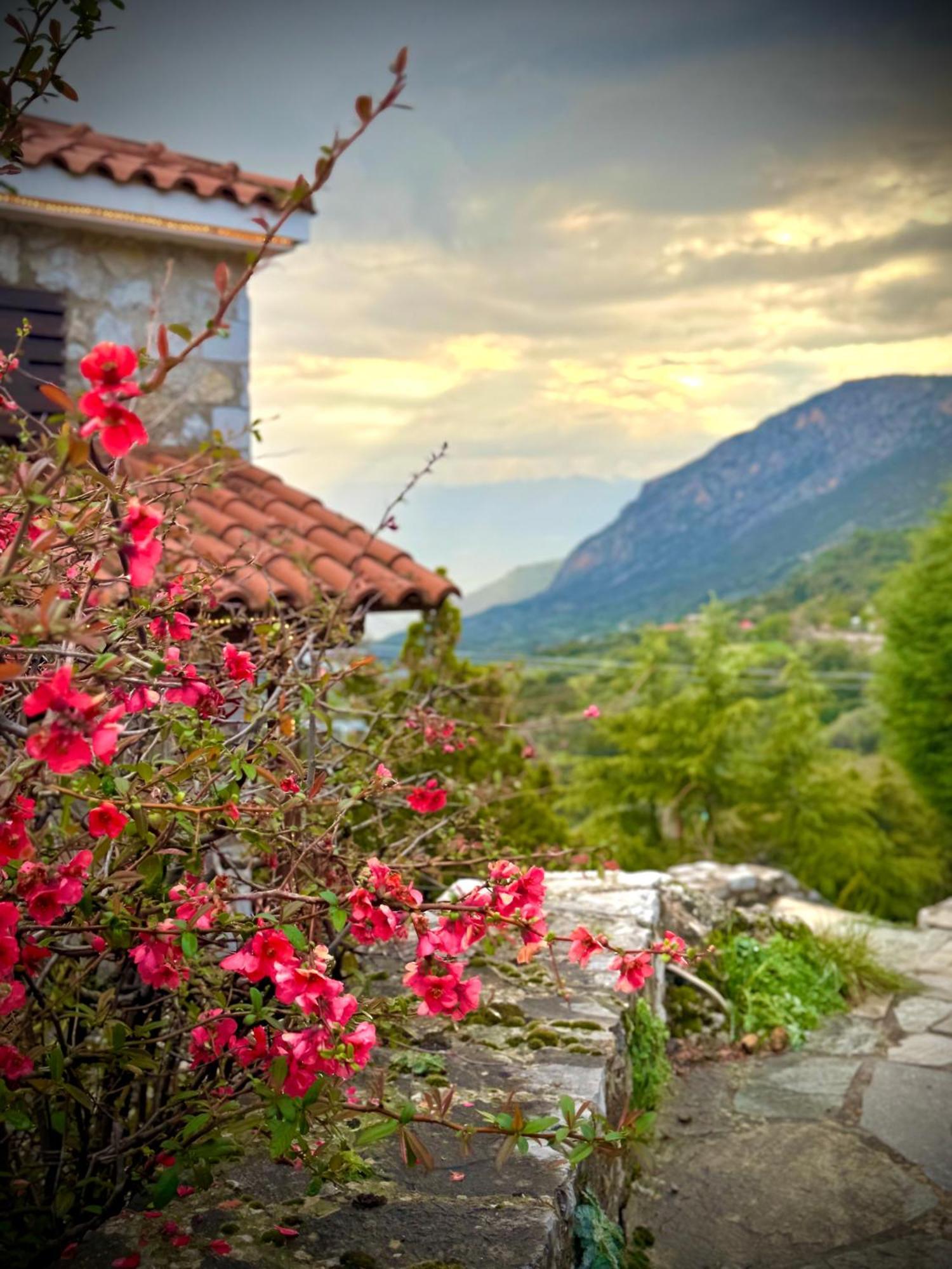 Rock Dandy Deluxe Chalet In Arachova - Delphi, Sauna, Prv Parking, Amazing View Exterior foto
